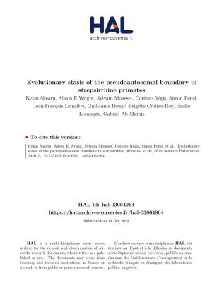 Evolutionary Stasis of the Pseudoautosomal Boundary In