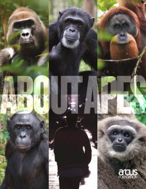 Great Apes, Elephants, Pandas, Canids and Other Research Studies