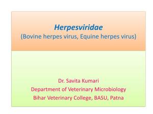 Herpesviridae (Bovine Herpes Virus, Equine Herpes Virus)