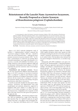 Reinstatement of the Lancelet Name Asymmetron Lucayanum, Recently Proposed As a Junior Synonym of Branchiostoma Pelagicum (Cephalochordata)