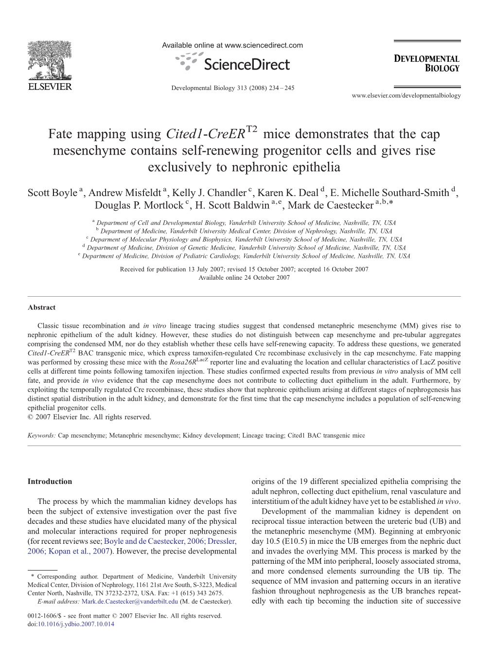 Fate Mapping Using Cited1-Creer Mice Demonstrates That the Cap