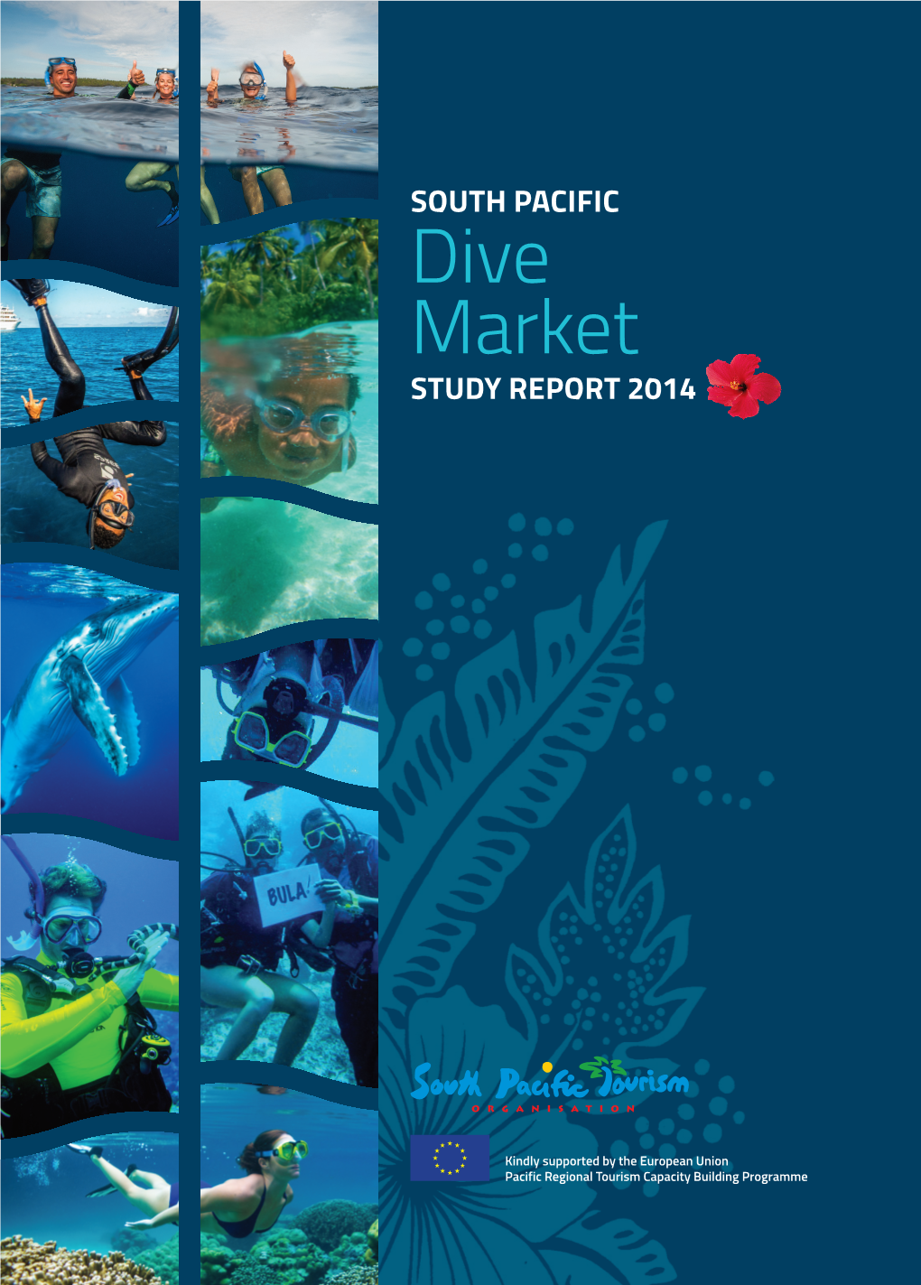 Dive Market Study Report 2014