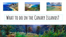 What to Do in the Canary Islands?