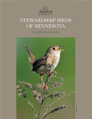 Stewardship Birds of Minnesota Our Global R Global Our Esponsibility