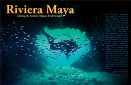 Diving the Ancient Mayan Underworld Is Located in the South of the Contiguous Mexican States