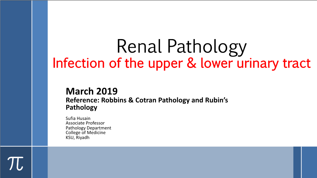 Renal Pathology Infection of the Upper & Lower Urinary Tract