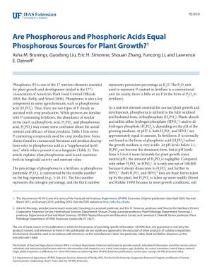 Are Phosphorous and Phosphoric Acids Equal Phosphorous Sources for Plant Growth?1 Asha M