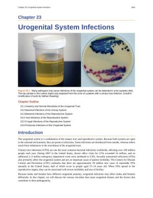 Urogenital System Infections 1005