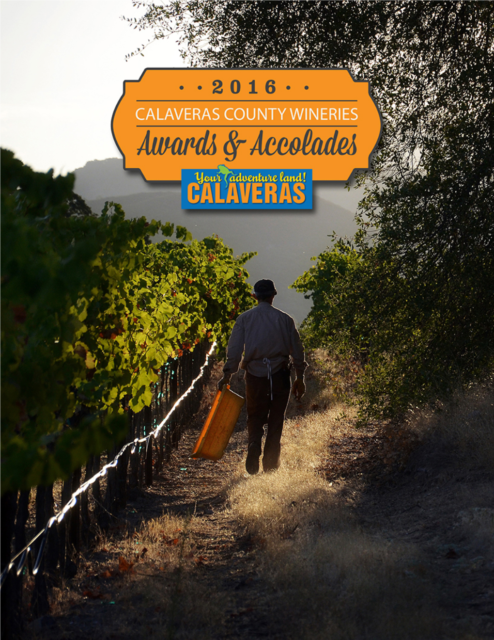 Calaveras County Wineries AWARDS and ACCOLADES