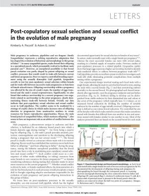 Post-Copulatory Sexual Selection and Sexual Conflict in the Evolution of Male Pregnancy