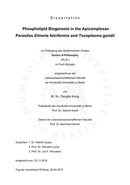 Phospholipid Biogenesis in the Apicomplexan Parasites Eimeria Falciformis and Toxoplasma Gondii