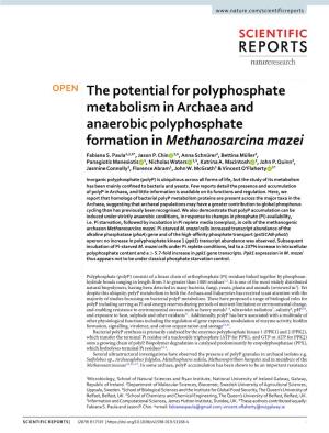The Potential for Polyphosphate Metabolism in Archaea and Anaerobic Polyphosphate Formation in Methanosarcina Mazei Fabiana S