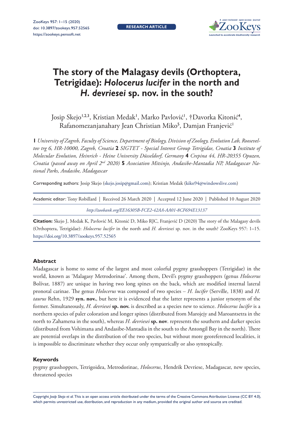 (Orthoptera, Tetrigidae): Holocerus Lucifer in the North and H. Devriesei Sp