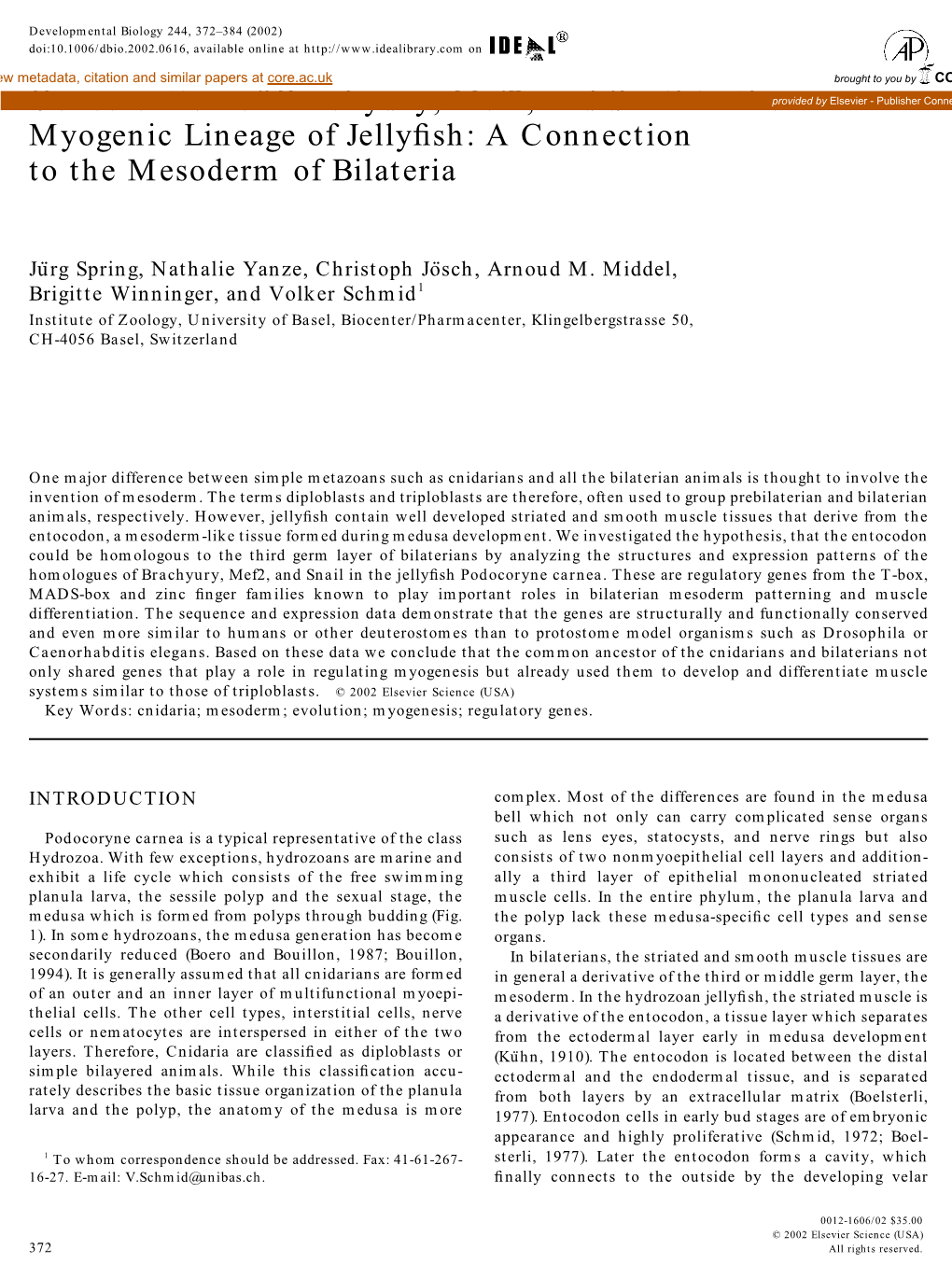 Conservation of Brachyury, Mef2 and Snail in the Myogenic Lineage Of