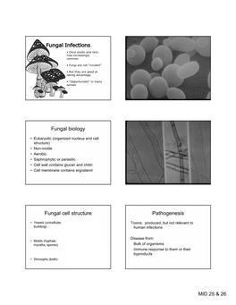 Fungal Biology Fungal Cell Structure Pathogenesis