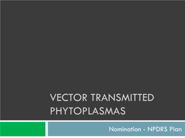 Vector Transmitted Phytoplasmas