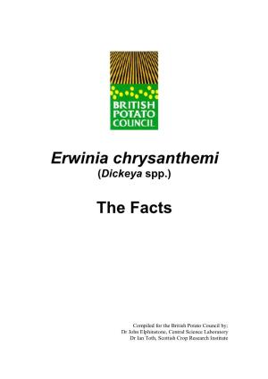 Erwinia Chrysanthemi the Facts