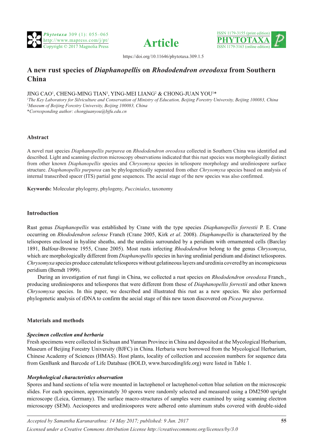 A New Rust Species of Diaphanopellis on Rhododendron Oreodoxa from Southern China