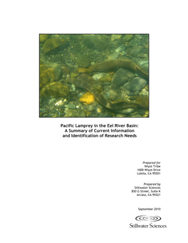 Pacific Lamprey in the Eel River Basin: a Summary of Current Information and Identification of Research Needs