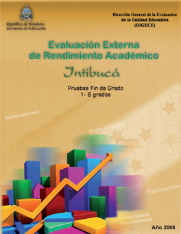 Informe Intibuca 2008.Pdf