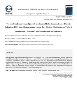 The Confirmed Occurrence of Juvenile Specimens of Polyprion Americanus (Bloch & Schneider, 1801) from Iskenderun and Mersin Bays (Eastern Mediterranean, Turkey)