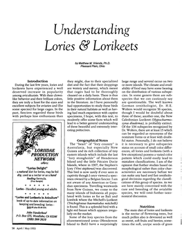 Understanding Lories & Lorikeets