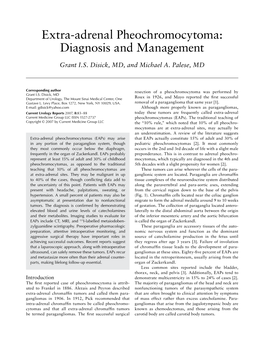 Extra-Adrenal Pheochromocytoma: Diagnosis and Management