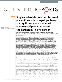 Single Nucleotide Polymorphisms of Nucleotide Excision Repair Pathway