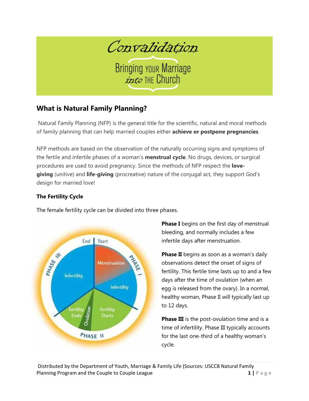 what-is-natural-family-planning-docslib