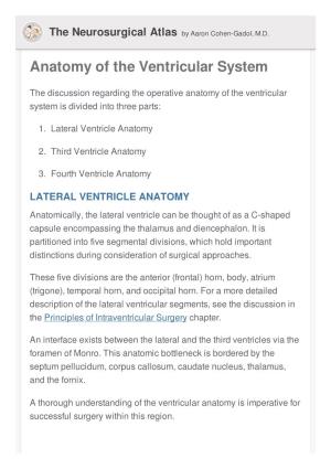 Anatomy of the Ventricular System