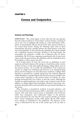 Cornea and Conjunctiva
