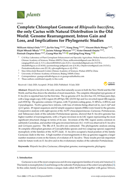 Complete Chloroplast Genome of Rhipsalis Baccifera, The