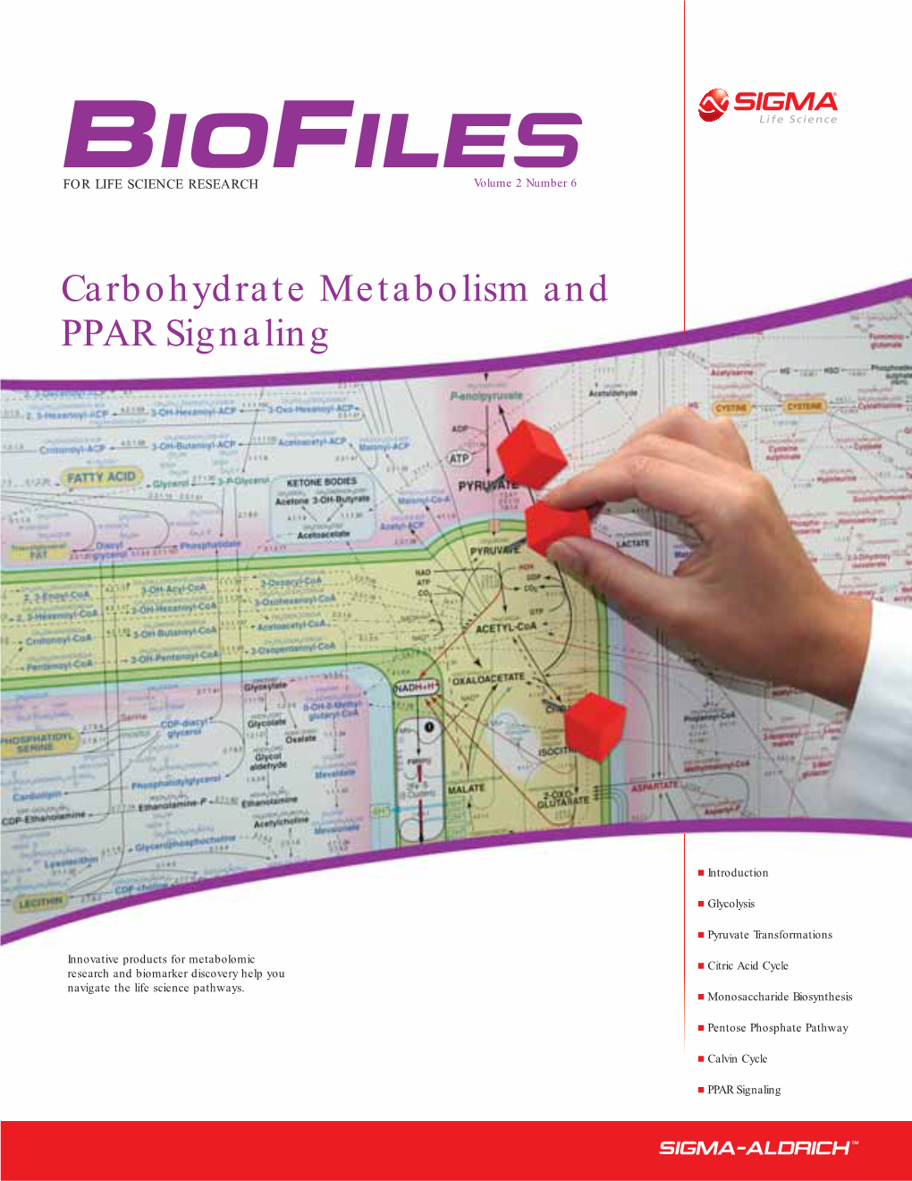 Carbohydrate Metabolism and PPAR Signaling