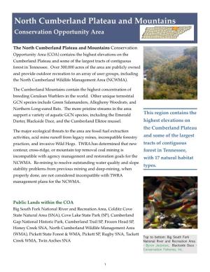 North Cumberland Plateau and Mountains Conservation Opportunity Area !! ! !