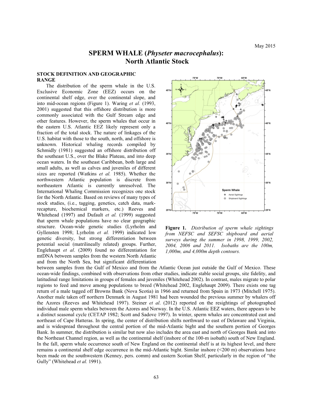 SPERM WHALE (Physeter Macrocephalus): North Atlantic Stock