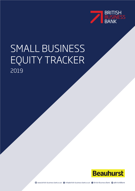 Small Business Equity Tracker 2019 2 British Business Bank