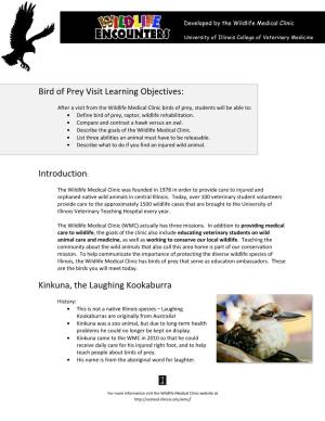 Bird of Prey Visit Learning Objectives: Introduction: Kinkuna, the Laughing