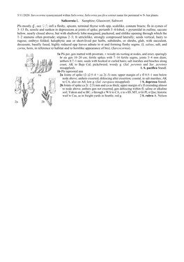 Salicornia L. Samphire; Glasswort; Saltwort Pls Mostly , Occ ; Infl A