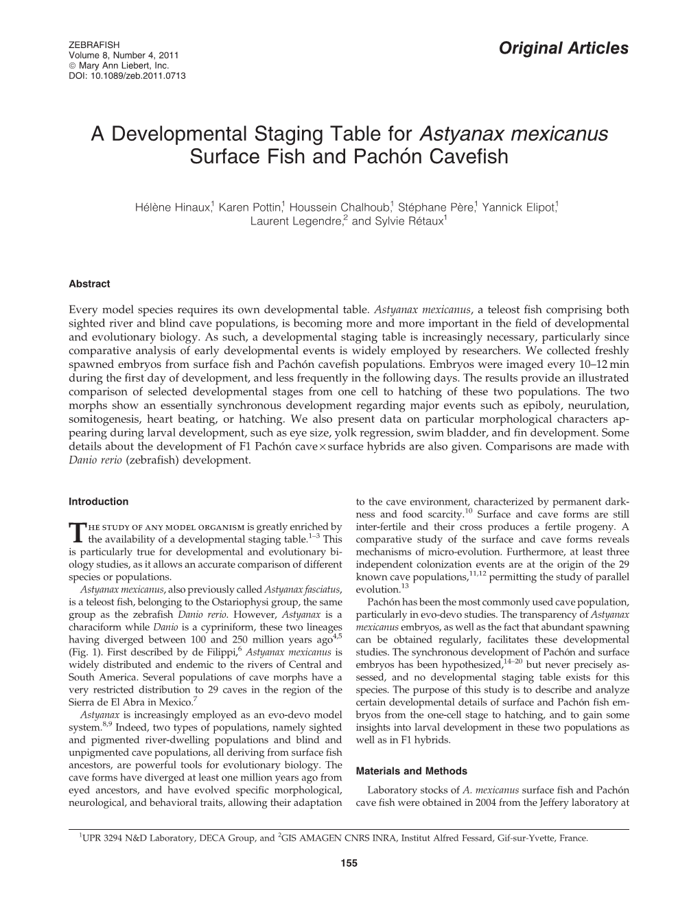 A Developmental Staging Table for Astyanax Mexicanus Surface Fish and Pacho´N Caveﬁsh