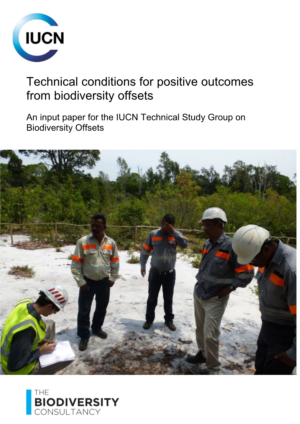 Technical Conditions for Positive Outcomes from Biodiversity Offsets