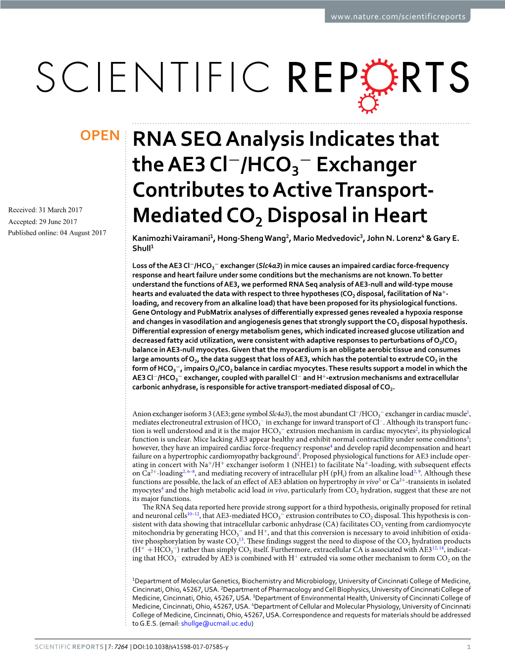 RNA SEQ Analysis Indicates That the AE3 Cl-/HCO3