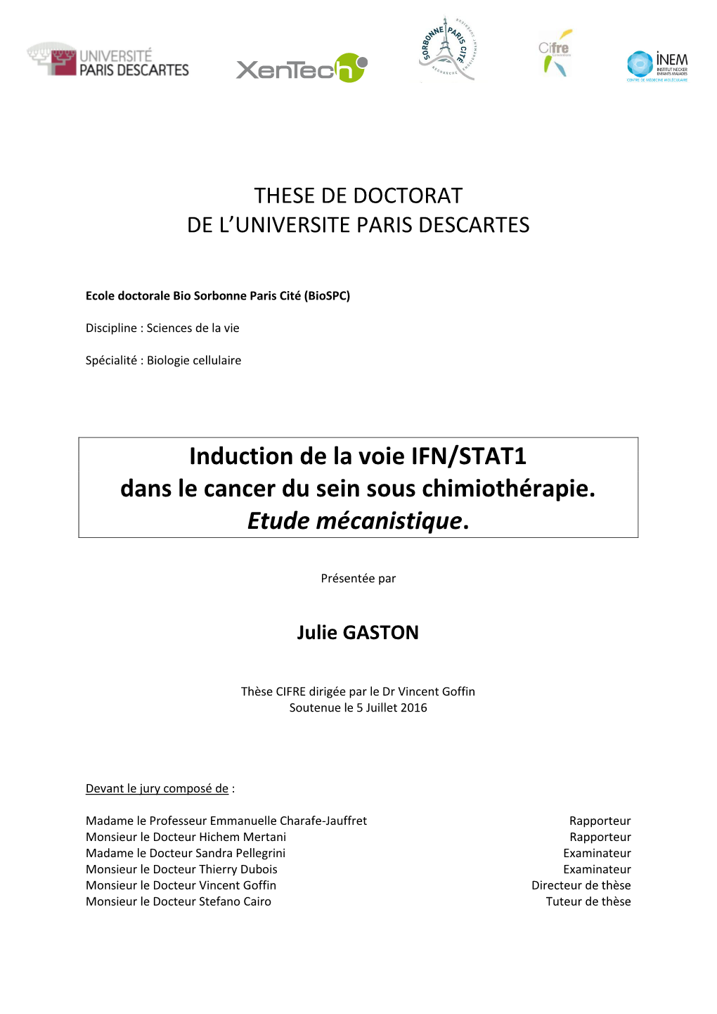 Induction De La Voie IFN/STAT1 Dans Le Cancer Du Sein Sous Chimiothérapie