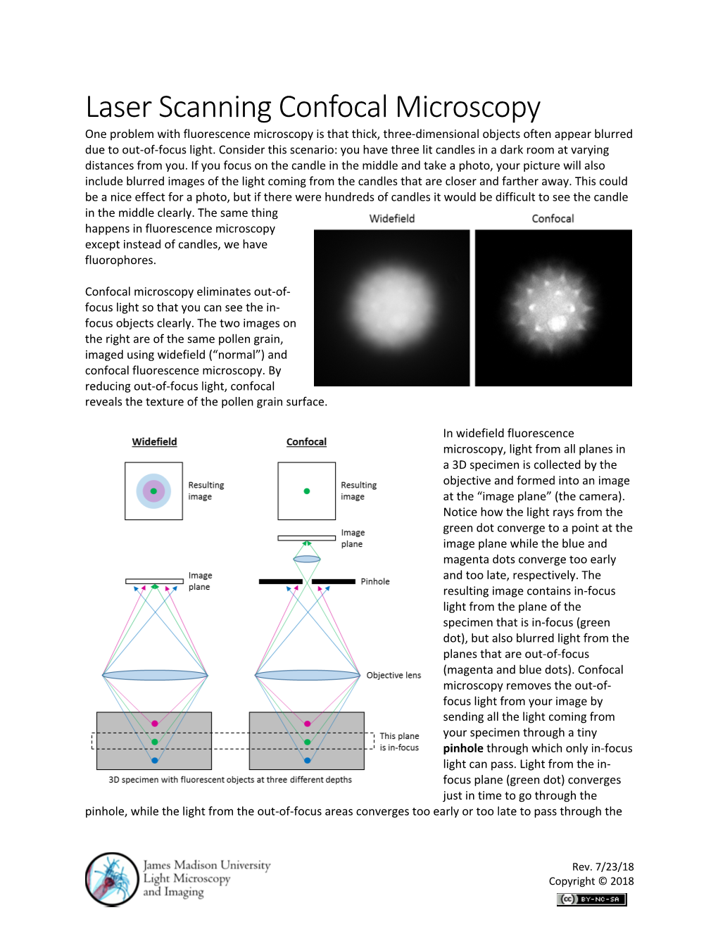 Confocal Microscopy Overview