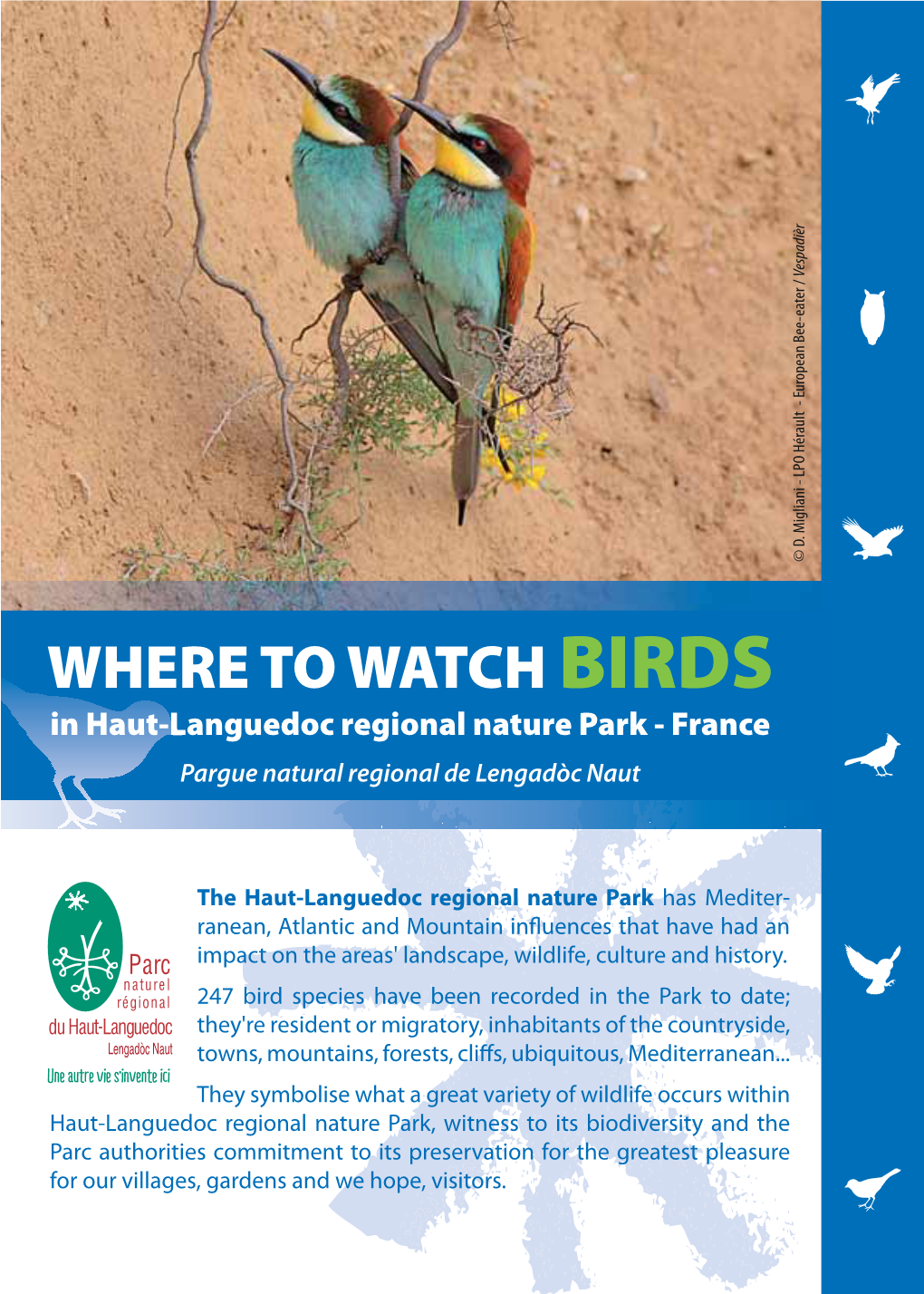 Where to Watch Birds (And Other Wildlife) in Parc Naturel Régional