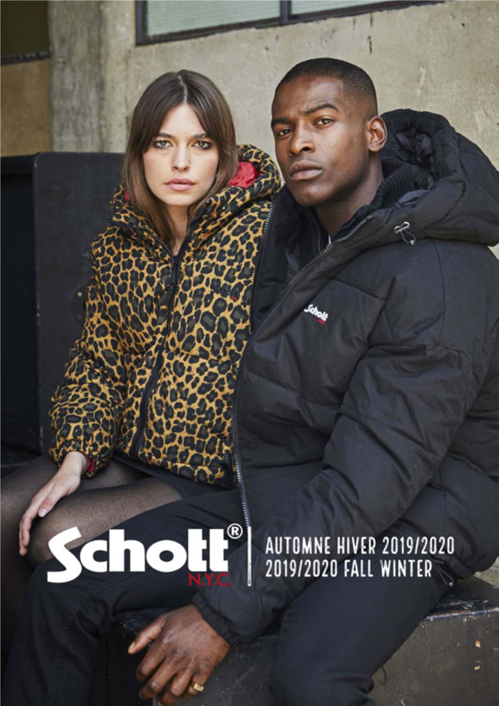 Schott Catalogue W19 LOW.Pdf