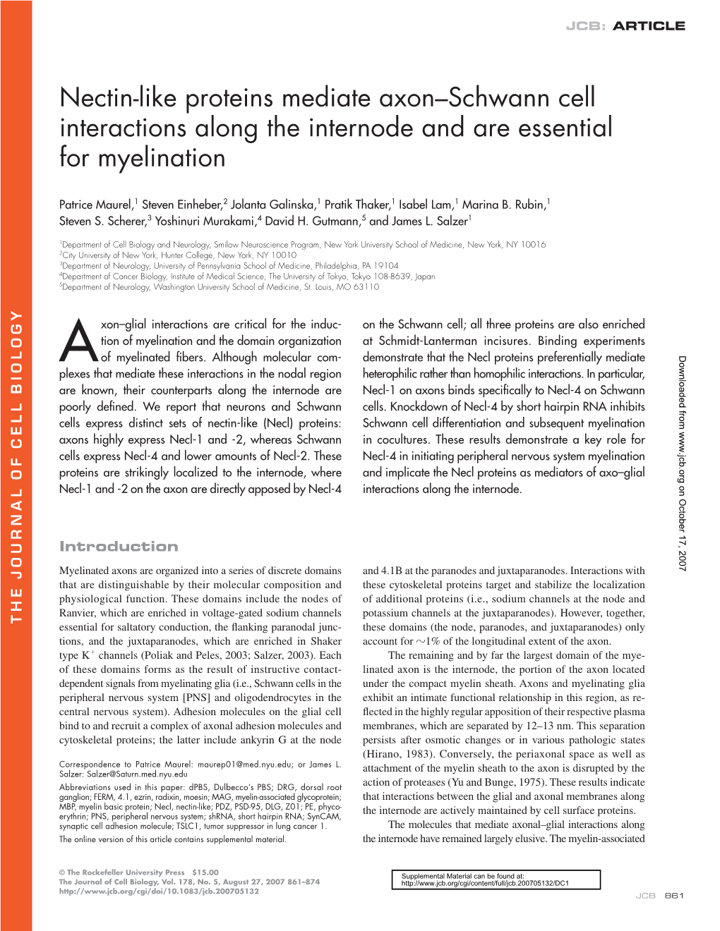 Nectin-Like Proteins Mediate Axon–Schwann Cell Interactions Along