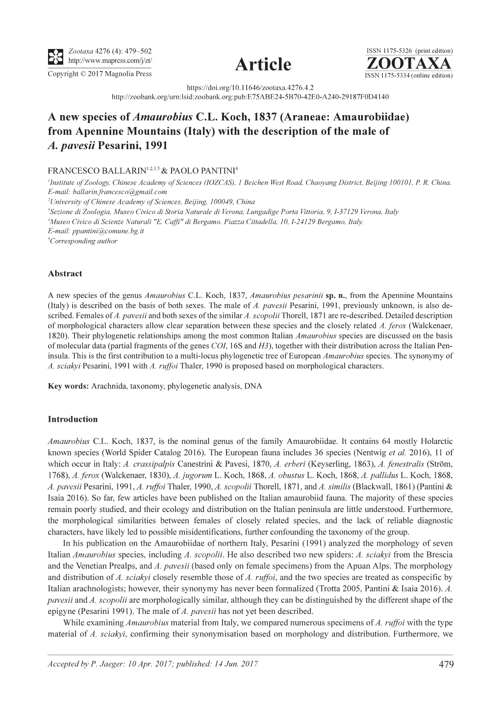 A New Species of Amaurobius C.L. Koch, 1837 (Araneae: Amaurobiidae) from Apennine Mountains (Italy) with the Description of the Male of A