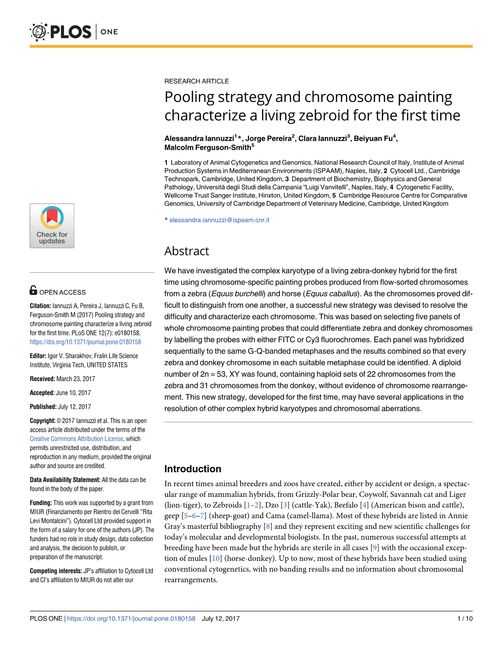 Pooling Strategy and Chromosome Painting Characterize a Living Zebroid for the First Time