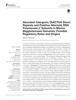 Abundant Intergenic TAACTGA Direct Repeats and Putative Alternate RNA Polymerase Β′ Subunits in Marine Beggiatoaceae Genomes: Possible Regulatory Roles and Origins
