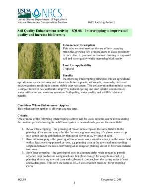 SQL08 – Intercropping to Improve Soil Quality and Increase Biodiversity